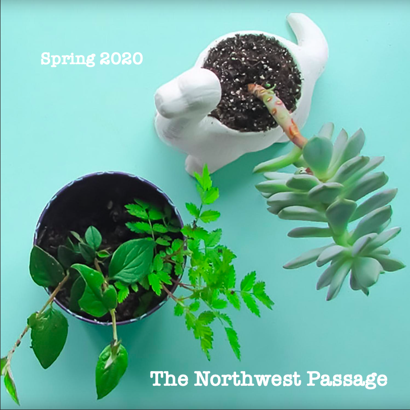 Northwest Passage Spring 2020 issue cover