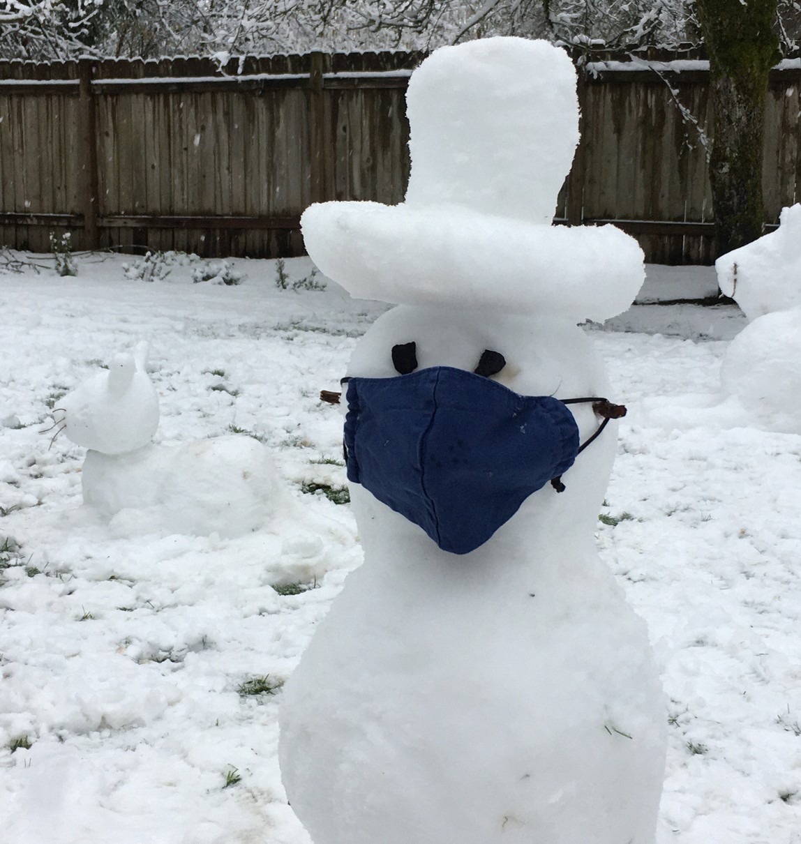 mask selfie - Mike A snowman wearing a blue non surgical mask in the snow