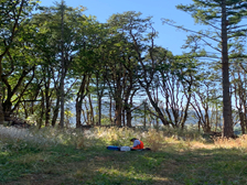 Photo of student researcher in forest.