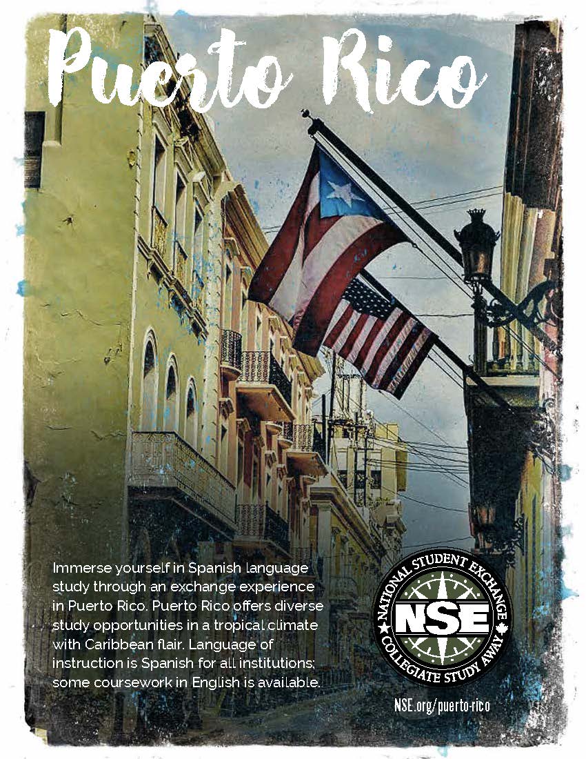 NSE Puerto Rico