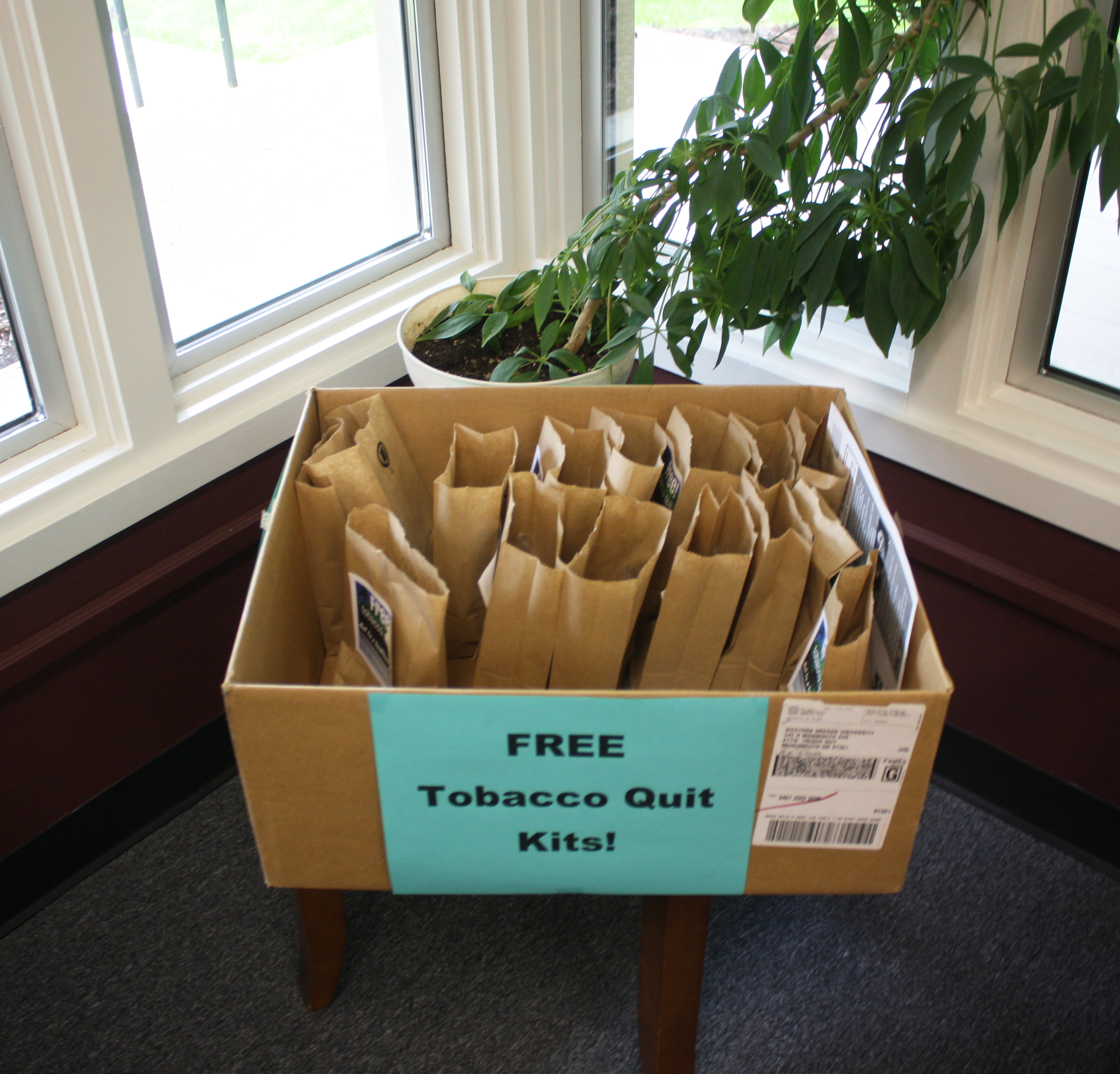 A day for putting out the smoke and picking up a healthy lifestyle