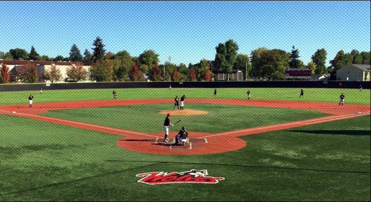 Wolves swat Yellowjackets