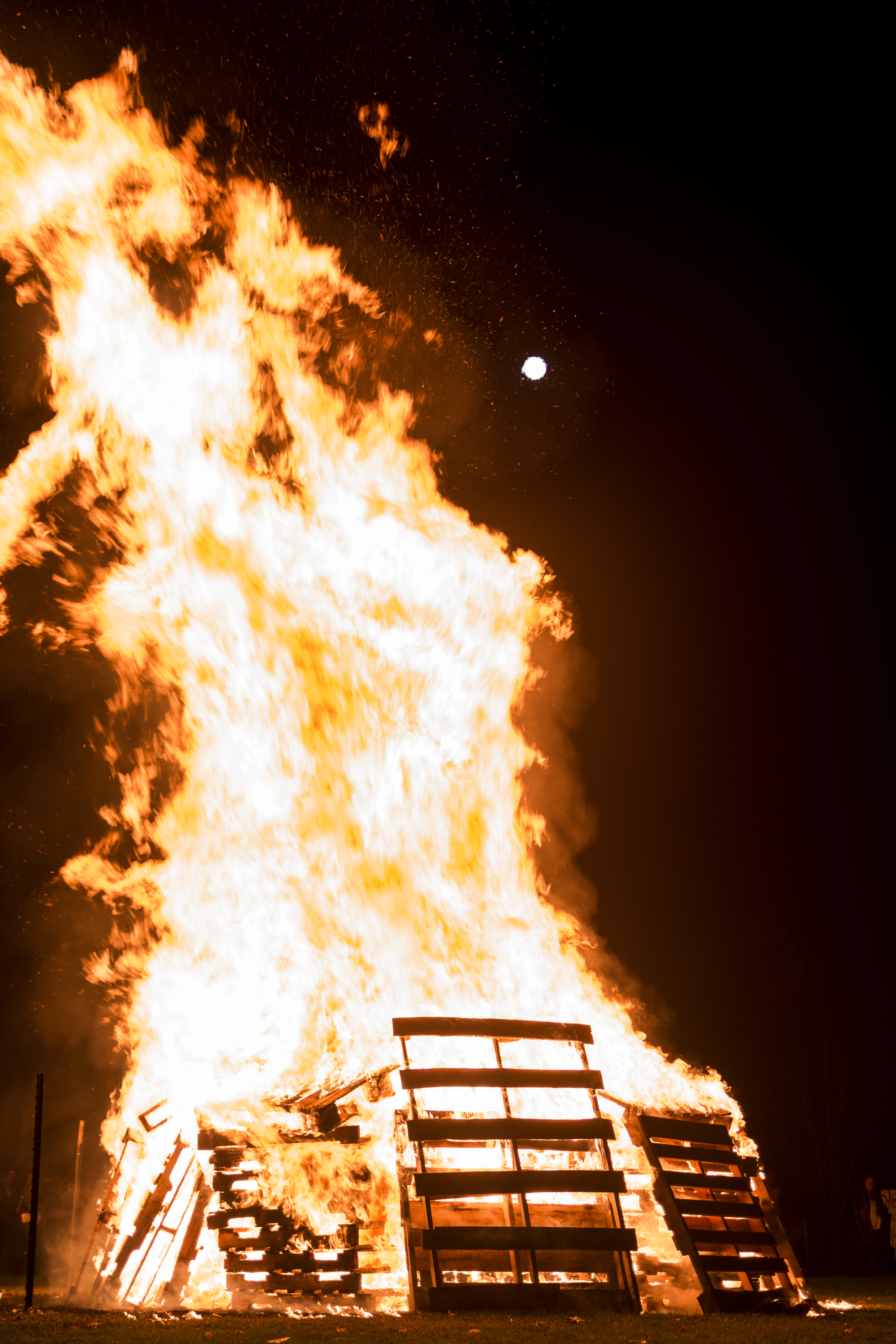 Homecoming sparks pride at Western