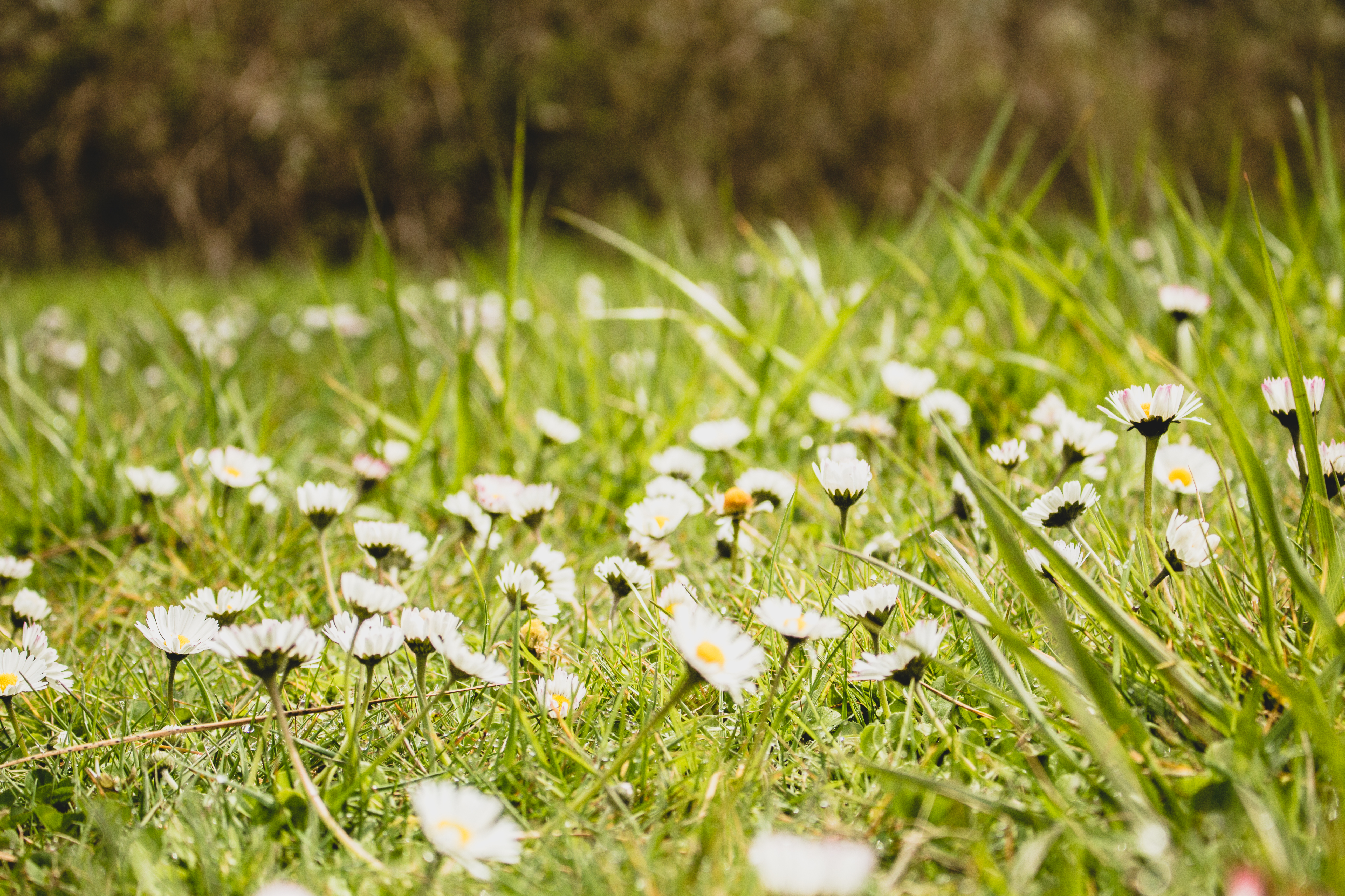 Finding hikes near Monmouth