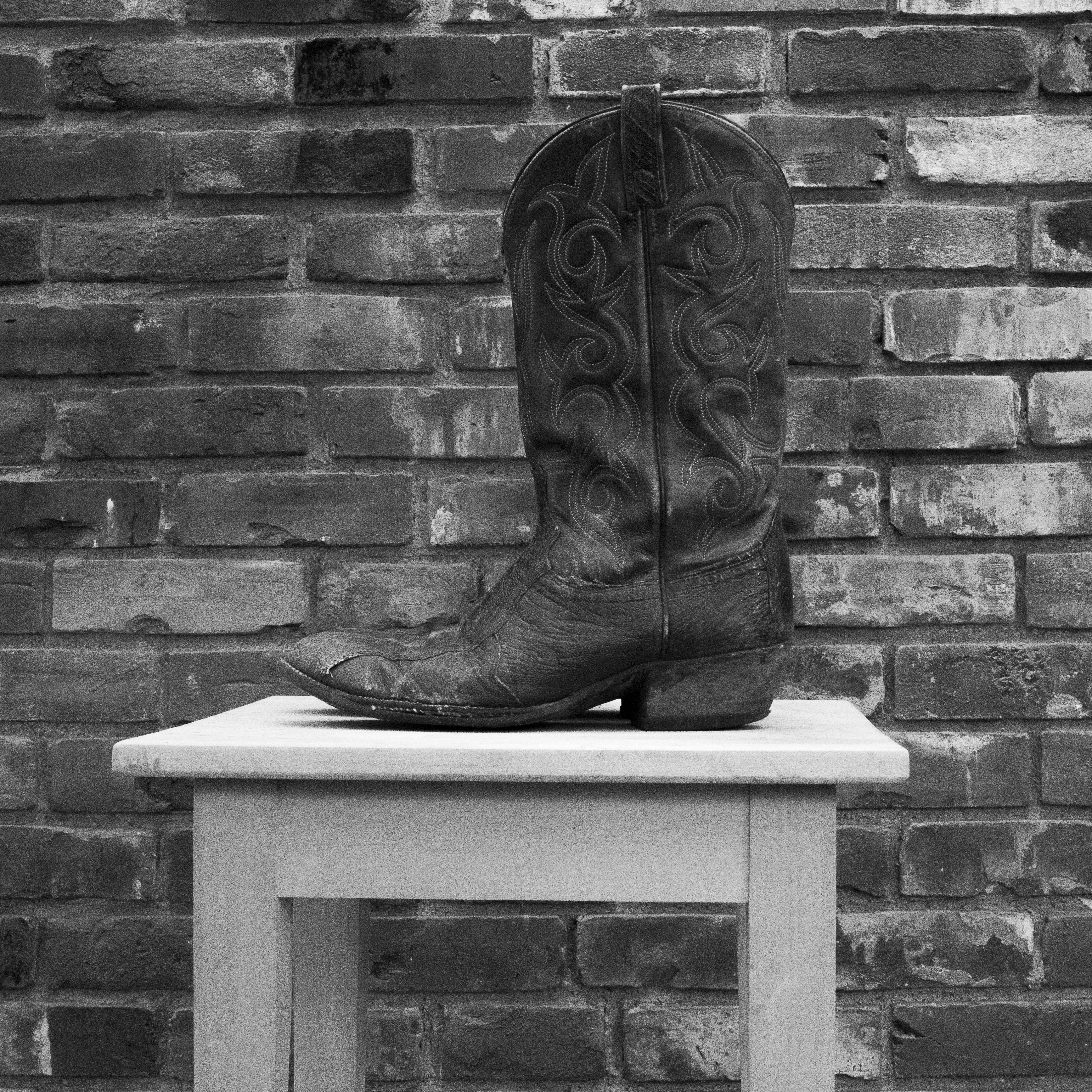 Favorite finds from The Western Journal