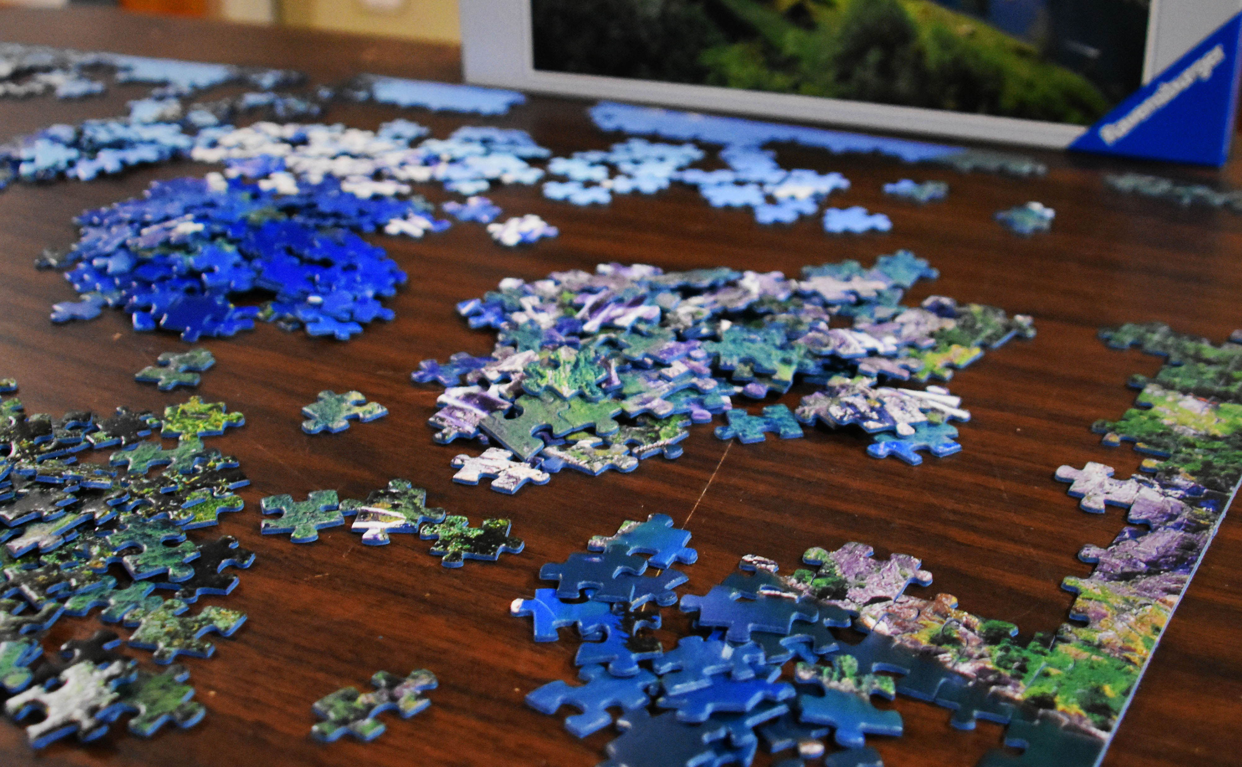 Oh, what fun: winter hobbies to try