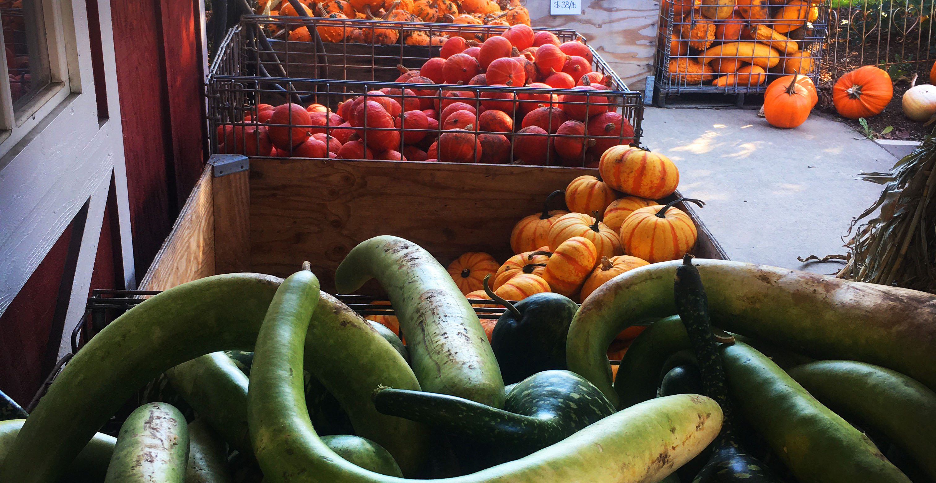 Spend some time with local vendors and businesses