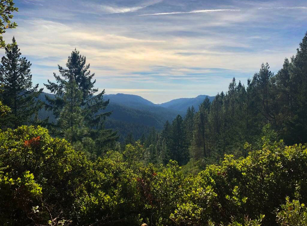 Get your green thumb ready for Earth Day