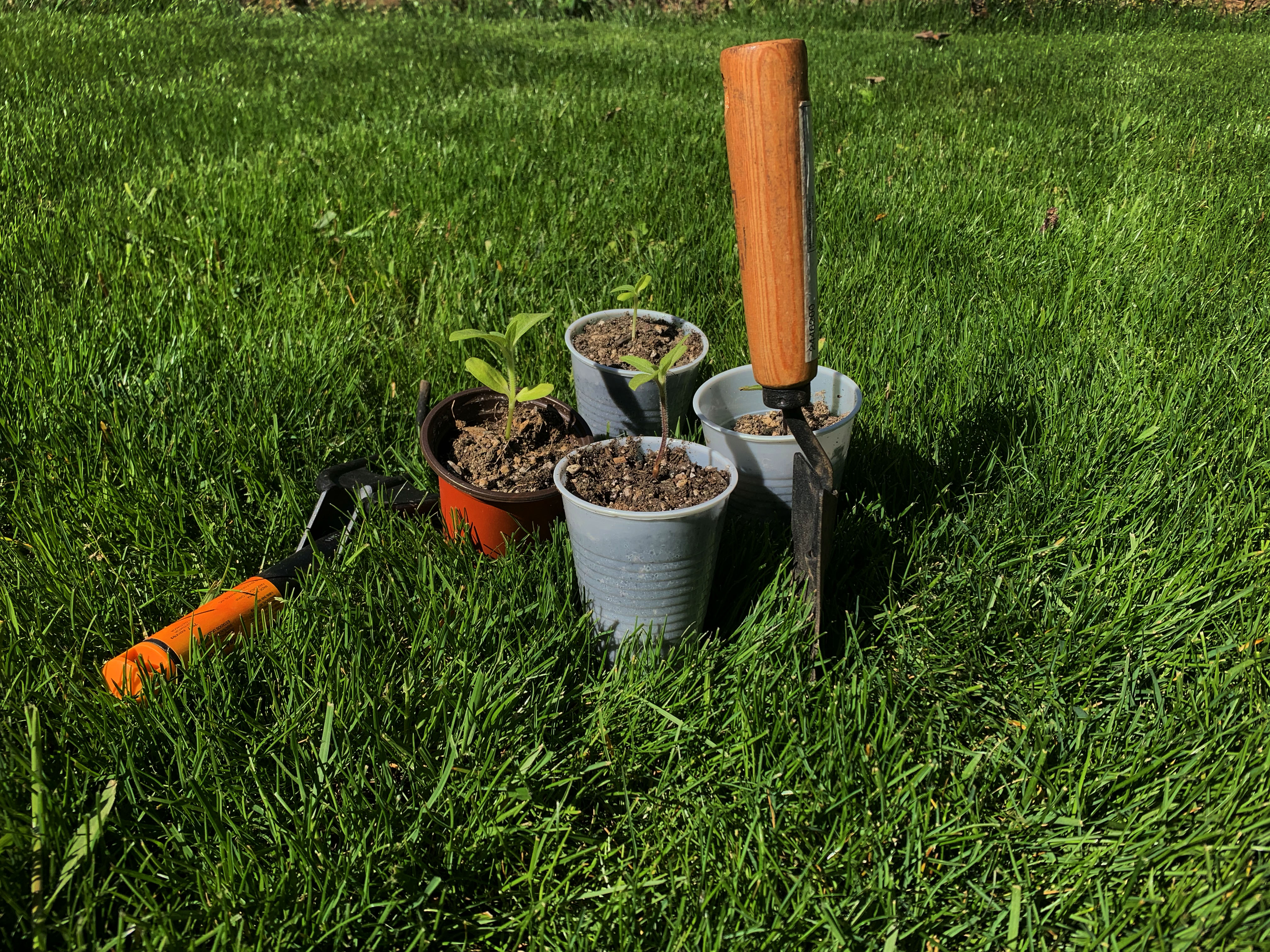 ‌Show Mother Earth some love on April 22