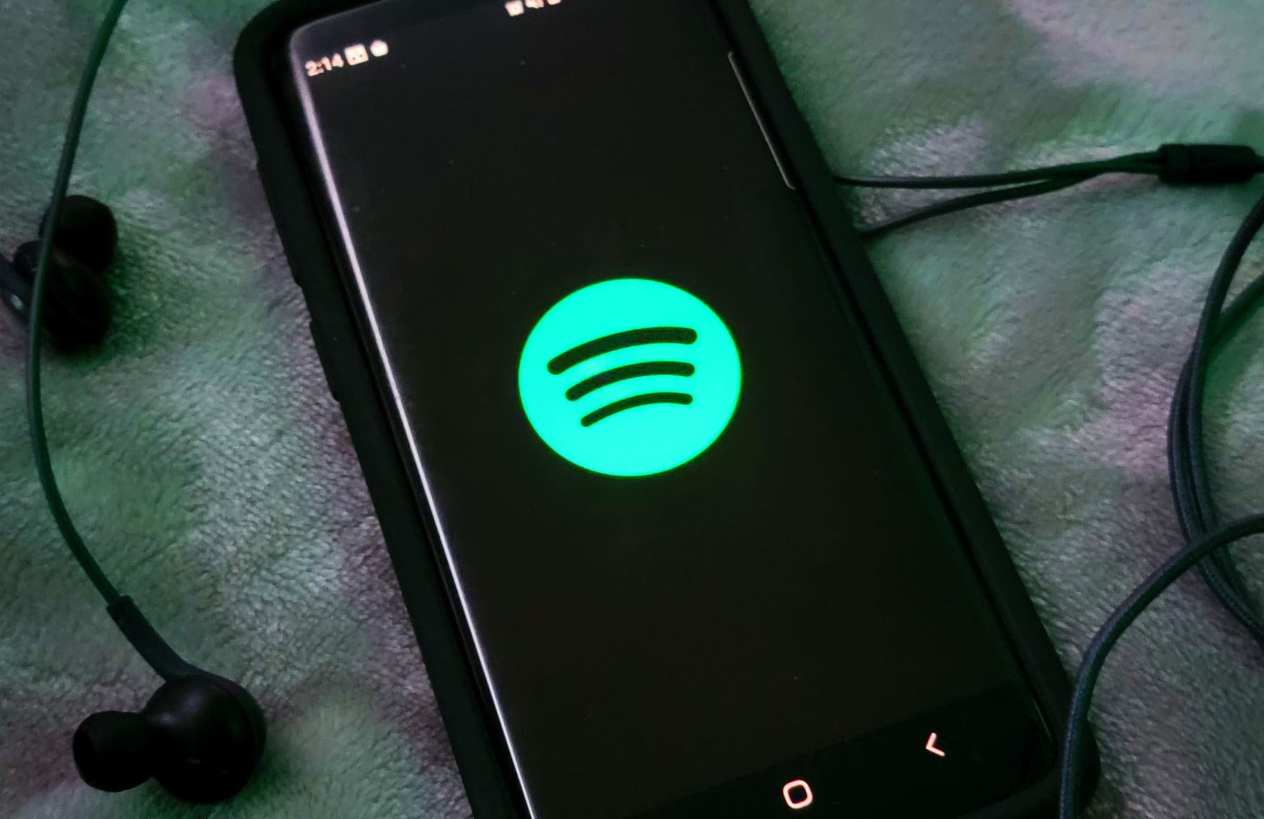 ‌A springtime playlist with tons of genres