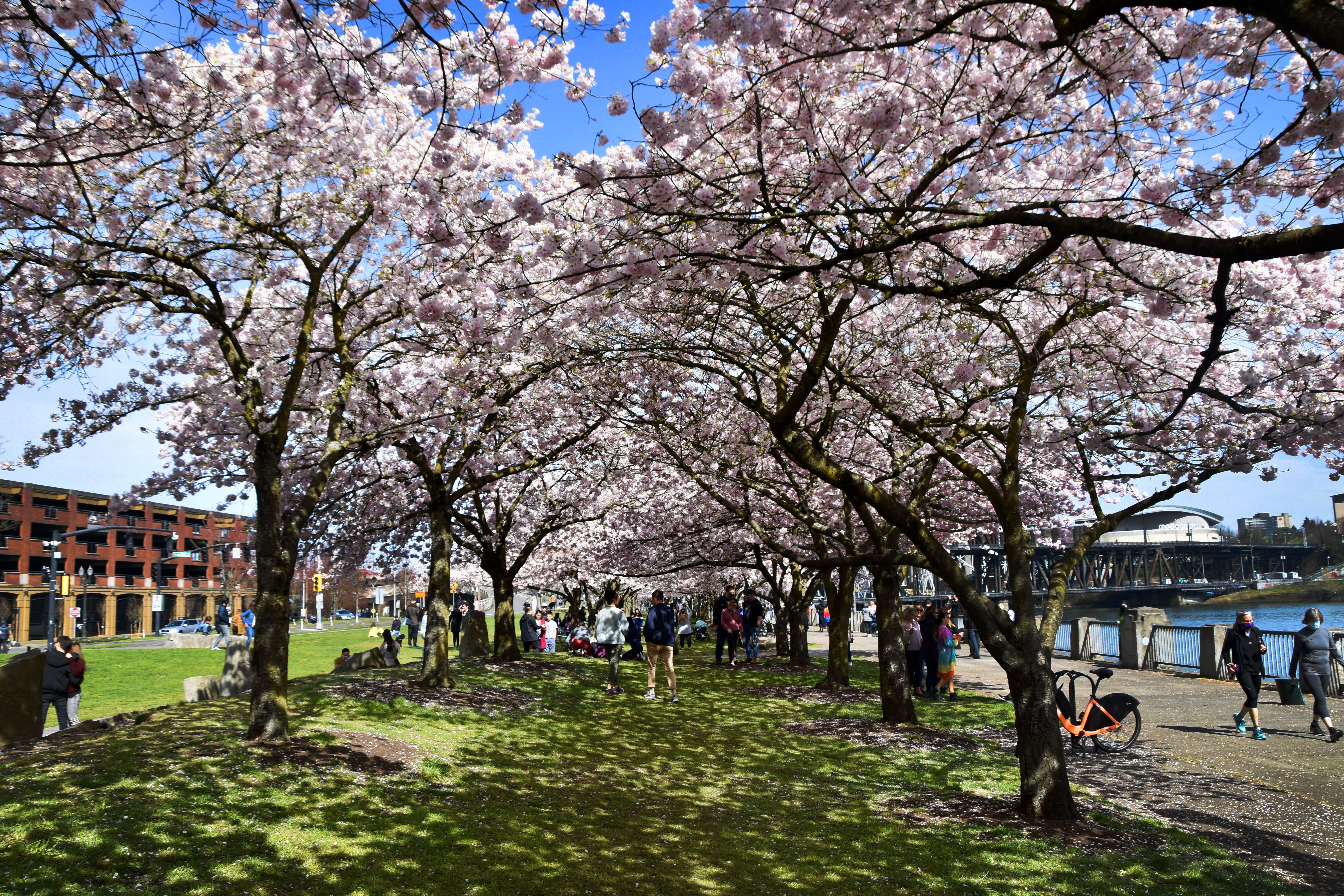 Have some fun in the sun with a local photoshoot