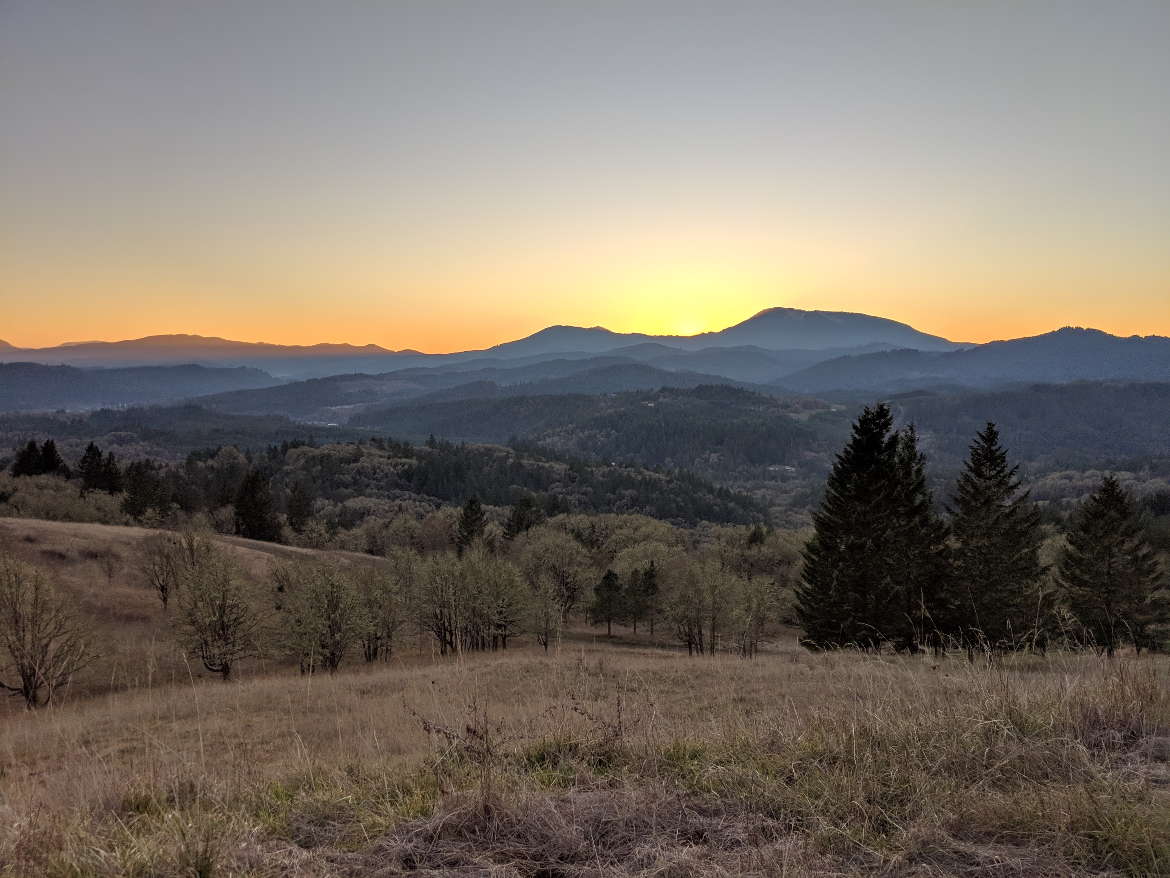 Local Hiking: Get out in Nature