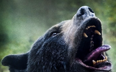 “Cocaine Bear” review