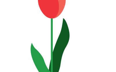 Spring term self care