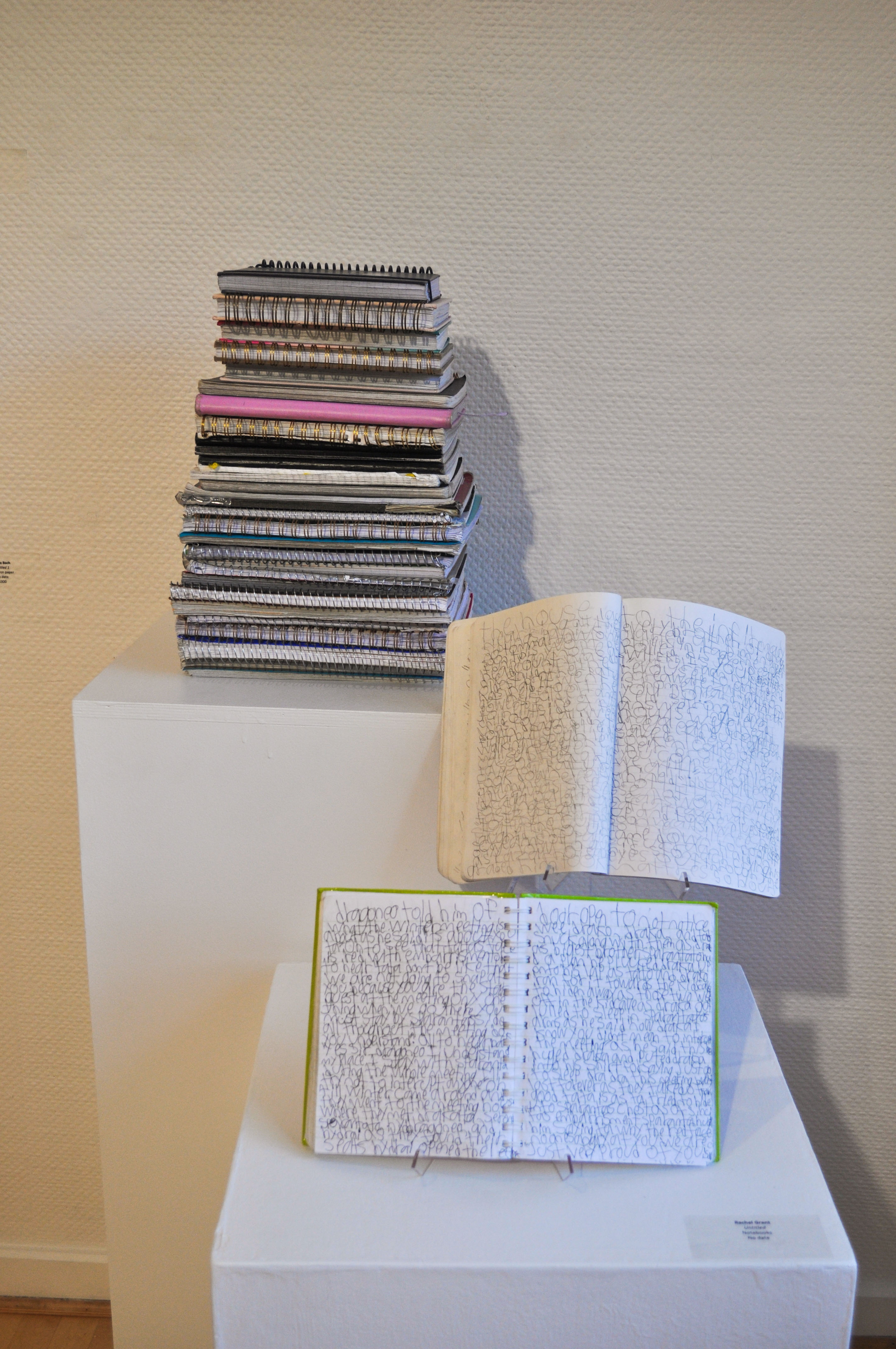 WOU Art Galleries Spring into Action