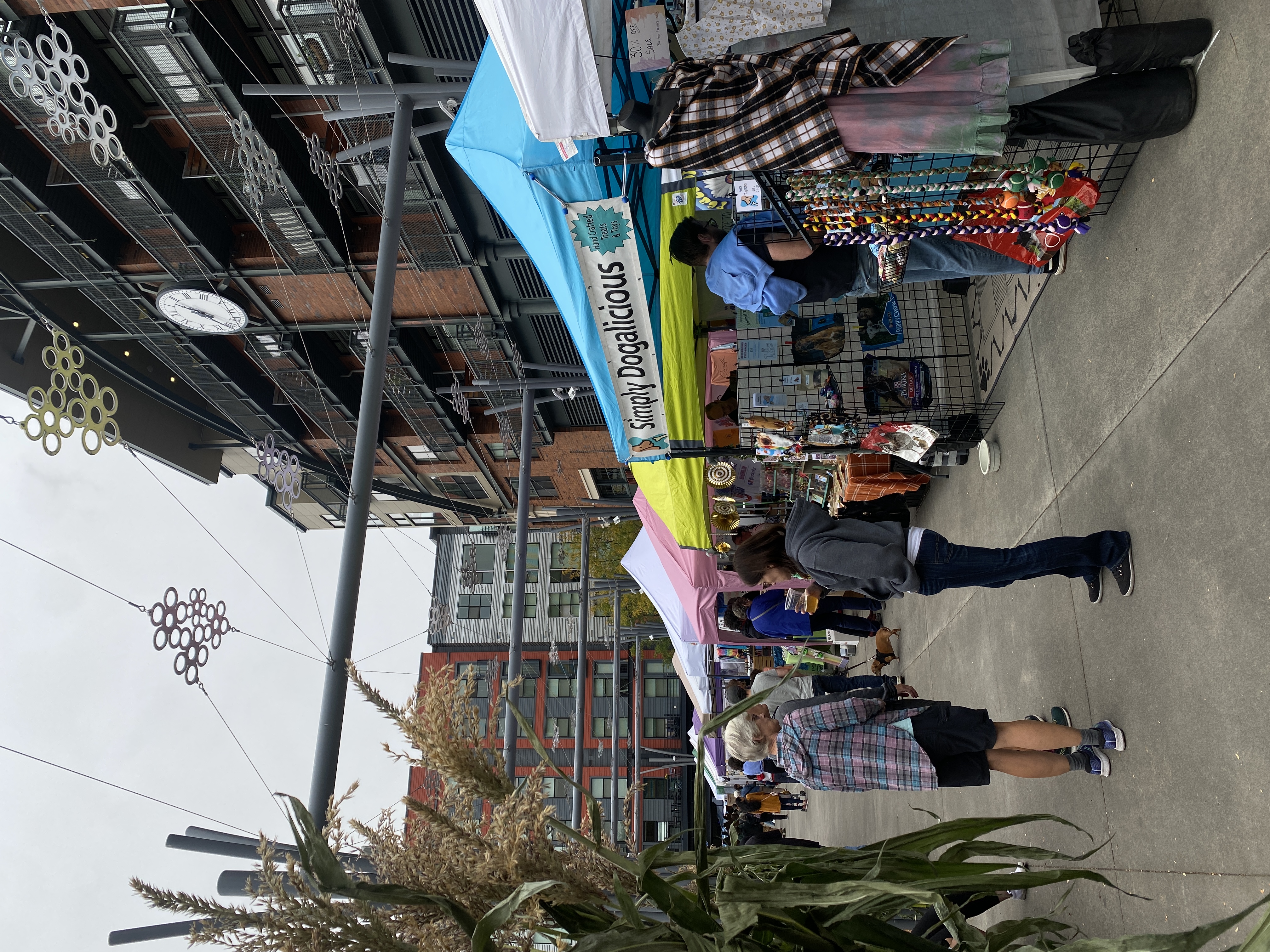 October opportunities and activities