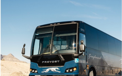 At-risk population relocation